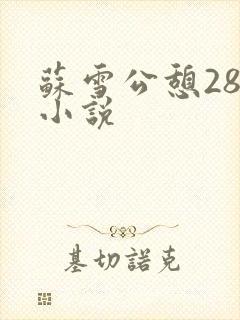 苏雪公憩28篇小说封面