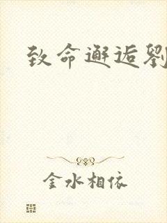 致命邂逅刘小寐封面