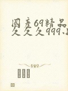 国产69精品久久久久999小说
