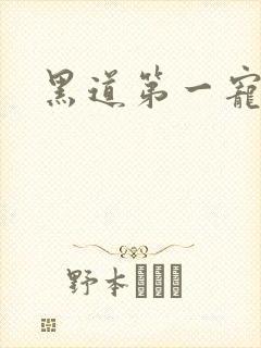 黑道第一宠婚