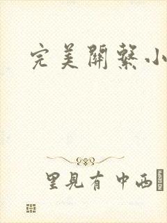 完美关系小说