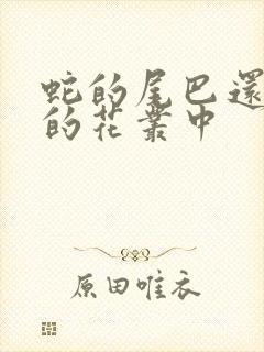 蛇的尾巴还在我的花丛中封面