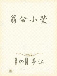 翁公小莹封面