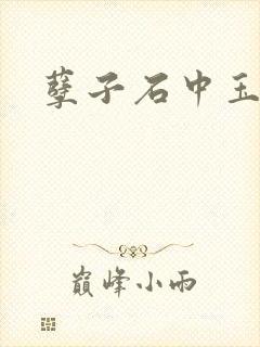 孽子石中玉