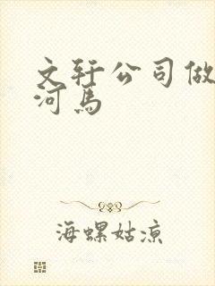 文轩公司做扩张河马