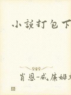 小说打包下载
