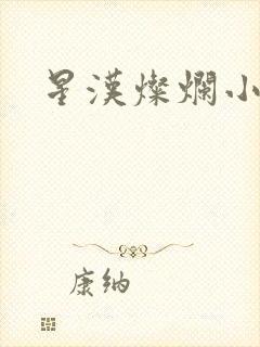 星汉灿烂小说