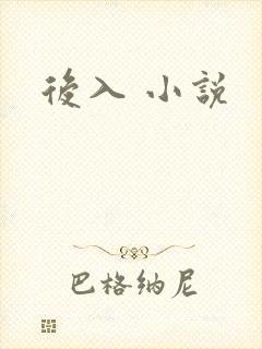 后入 小说