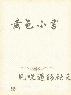 黄色小书