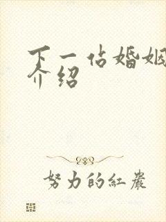 下一站婚姻剧情介绍