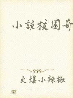 小说校园奇侠封面