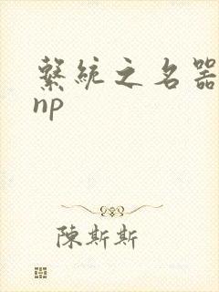系统之名器攻略np