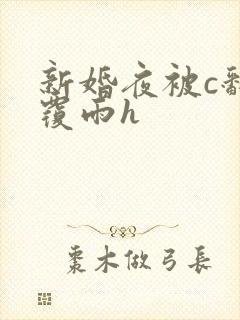 新婚夜被c翻云覆雨h封面
