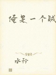 俺是一个贼