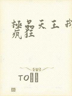 极品天王 我本疯狂