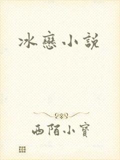 冰恋小说封面