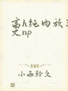 高h纯肉放荡h文np