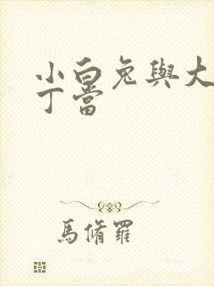 小白兔与大灰狼丁当
