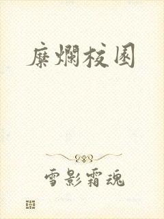 糜烂校园封面