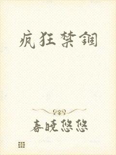 疯狂禁锢封面