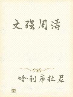 文强周涛
