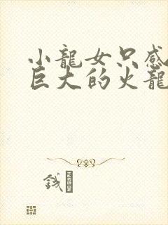 小龙女只感觉那巨大的火龙枪