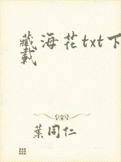 藏海花txt下载封面