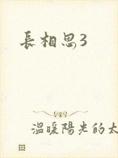 长相思3封面