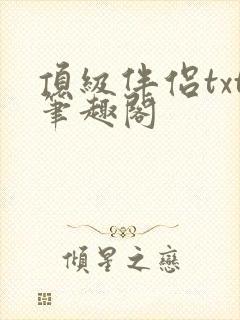 顶级伴侣txt笔趣阁