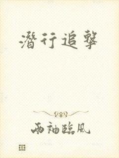 潜行追击封面