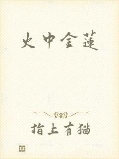 火中金莲封面