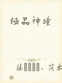 极品神瞳