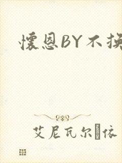 怀恩BY不换
