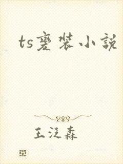 ts变装小说