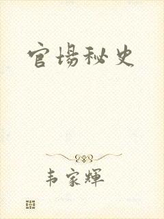 官场秘史