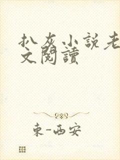 扒灰小说老马全文阅读