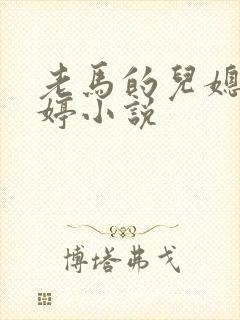 老马的儿媳顾婉婷小说