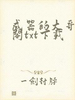 成器的大哥笔趣阁txt下载