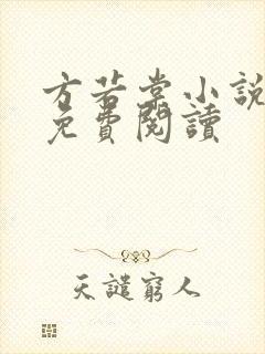 方若棠小说全文免费阅读