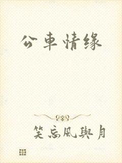 公车情缘