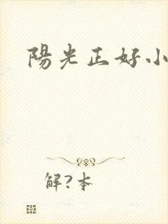 阳光正好小说封面