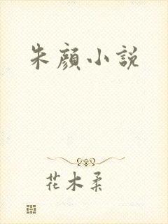 朱颜小说