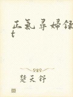 正气寻妇录txt