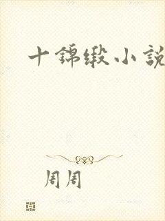 十锦缎小说封面