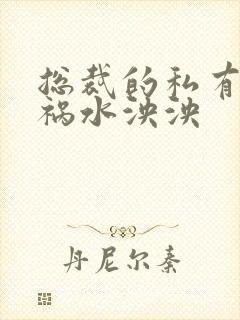 总裁的私有宝贝祸水泱泱封面