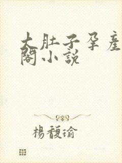 大肚子孕产笔趣阁小说