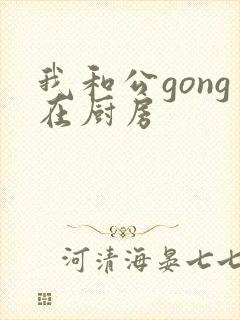 我和公gong在厨房