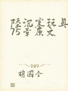 陆沉塞玩具高速75章原文