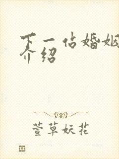 下一站婚姻剧情介绍封面