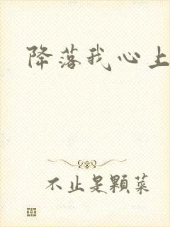 降落我心上